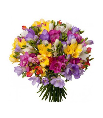 Freesia Bouquet